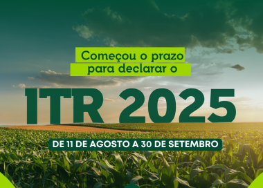 Imagem de destaque