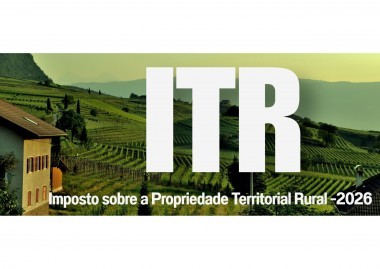 Imagem de destaque